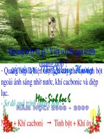 Tiet 56: Thuc vat gop phan dieu hoa khi hau