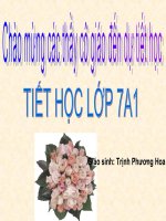 Đa dạng lớp Thú. Bộ ăn sâu bọ - bộ ăn thịt - bộ gặm nhấm