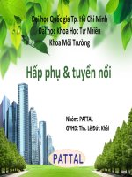 Xử lý nước thải bằng hấp phụ và tuyển nổi