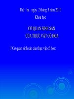 khoa hoc: bai su sinh san cua thuc vat co hoa