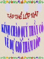 NỘI DUNG VÀ HÌNH THỨC CỦA VĂN BẢN VAN HỌC