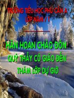Tập  làm văn - Tiết 33: ÔN TẬP VỀ VIẾT ĐƠN