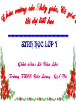 Tiết 57- Tiến hóa về tổ chức cơ thể