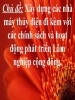 Lâm nghiệp cộng đồng