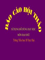 Hội thảo đồ dùng dạy học