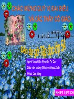 Tap doc. Ta ao dai viet nam