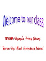 Giao an dien tu lop 6