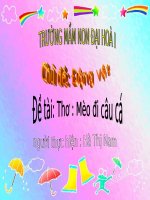 PTNN- Mèo đi câu cá