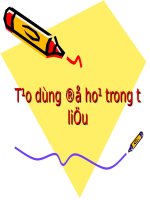 Tạo dựng đồ họa trong tư liệu