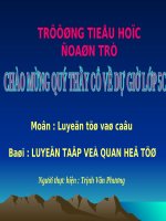 LUYỆN TỪ VÀ CÂU LÓP 5 T12