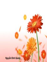 Thực vật góp phần điều hòa khí hậu (09-10)