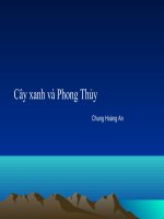 Phong thủy Sân vườn