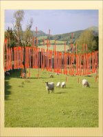 Ôn tập sinh 7 HK II