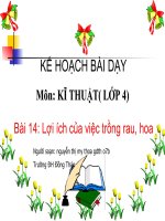 bài 14: Lợi ích của việc trồng rau và hoa