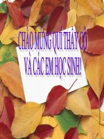 sinh7bai54tien hoa ve to chuc co the