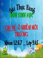 thuyêt trinh  ônhie64m môi trường