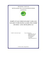 nghiên cứu quá trình xung đột và hòa giải xung đột về môi trường tại khu công nghiệp sonadezi – long thành, đồng nai