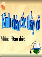 đi bộ đúng qui định