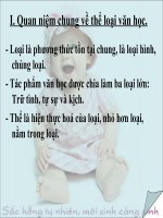 Một số thể loại văn học: thơ, truyện