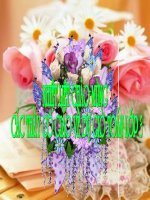 don vi do dien tich.xang-ti-met vuong