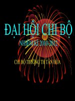 dai hoi chi bo
