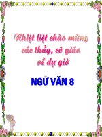 lựa chọn trật twj twf trong câu