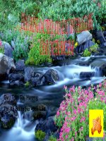 ĐỊA 7-BÀI 51 (CỰC HAY)