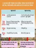 Bức Thư Của Thủ Lĩnh Da Đỏ