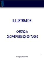 Các phép biến dạng đối tượng