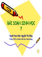 sinh 7- ếch đồng