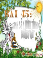 bài 45 sinh sản huu tinh ở động vật