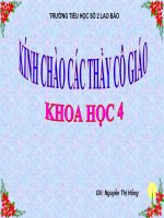 nhu cau nuoc cua thuc vat