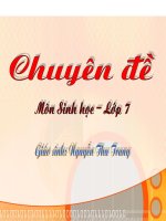 Tiết 13. Giun Đũa