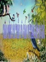 quan sat tuong tuong trong van mieu ta