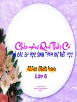 bài 46.thực vật góp phần điều hòa khí hậu