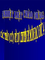 Tôn trọng luật giao thông (tiêt1)-Đạo đức 4