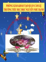 tập đọc: Dòng sông mặc áo