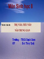 Tru nao- tieu nao- nao trung gian
