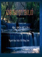 Bài 29: Tiết kiệm nước (Hồ Đăng Sơn)