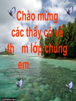 lớp vỏ sinh vật