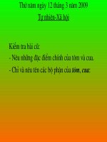 Bài cá (cực hay)