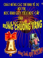 Rung chuông vàng V3 cấp tỉnh 2008-2009