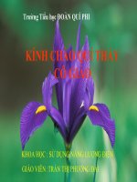 SU DUNG NANG LUONG DIEN