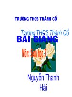 bộ ăn sâu bo,bộ gặm nhấm, bộ ăn thịt (chuẩn)