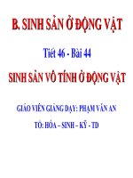 Tiết 46-Sinh sản vô tính ở động vật