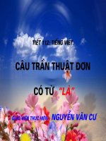 Tiet 112- cau tran thuat don co tu la