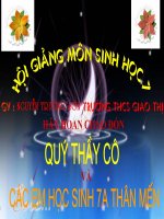 Bài 15: Giun Đất