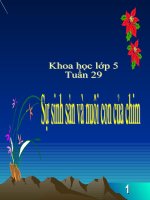 khoa hoc: bai su sinh san và nuoi con cua chim