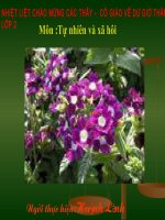 bài 17: Phòng tránh ngã khi ở trường