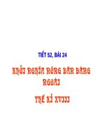 Khoi nghia nong dan Dang Ngoai(luoc do sinhdong)